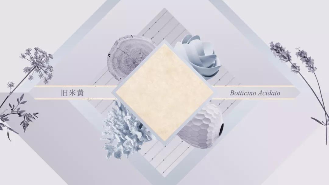 德信控股集团有限公司