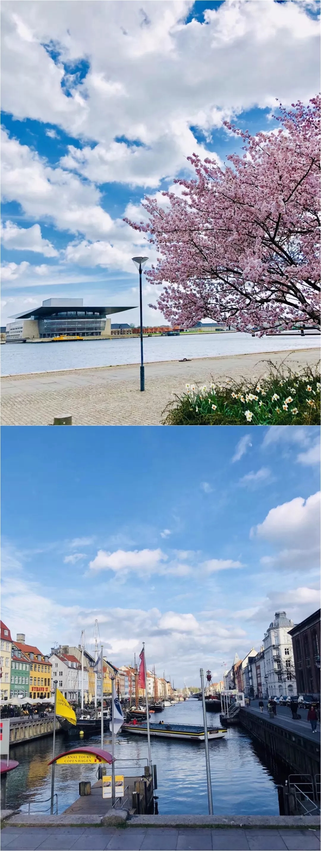 德信控股集团有限公司