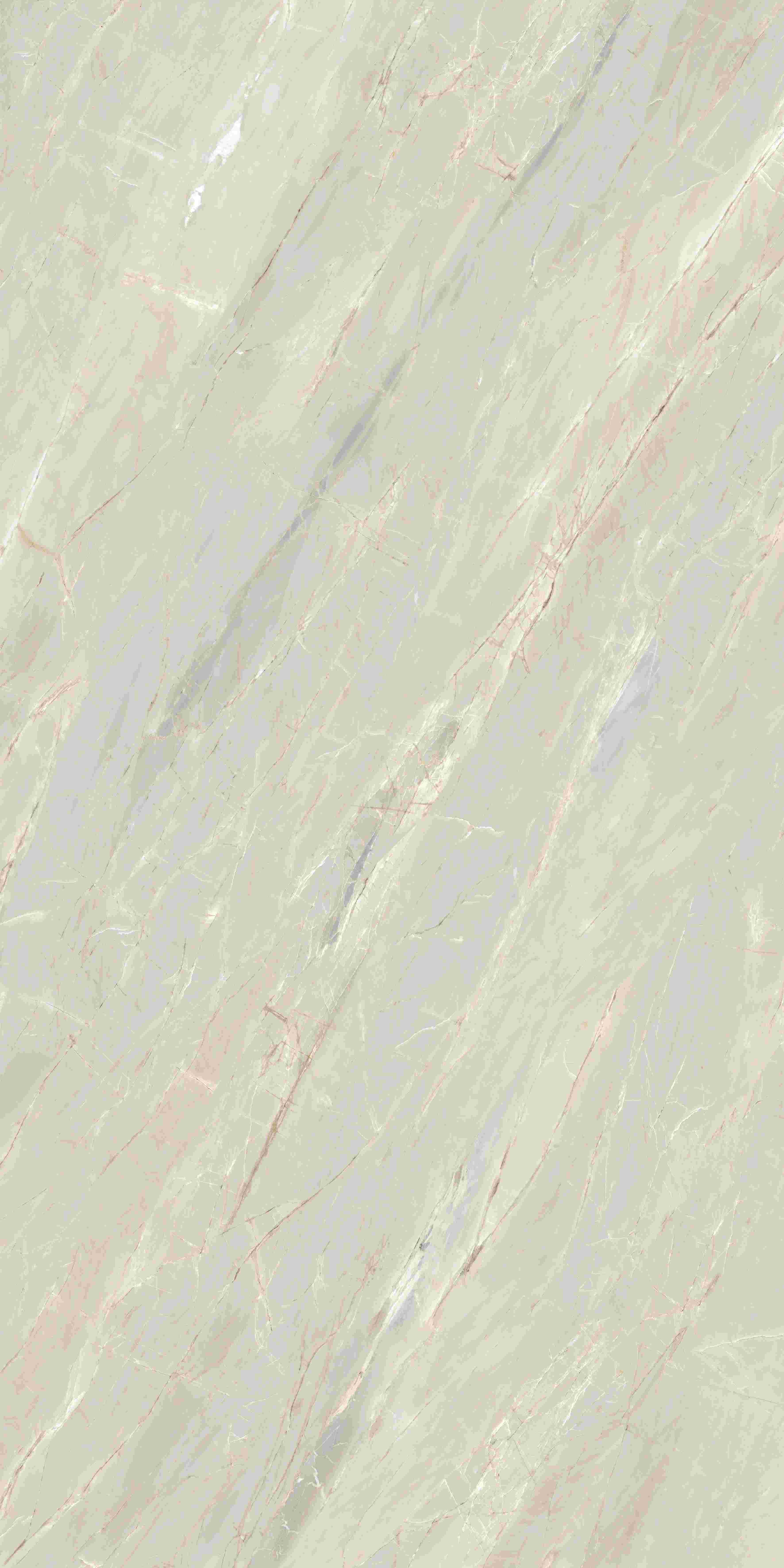 202503311049544954