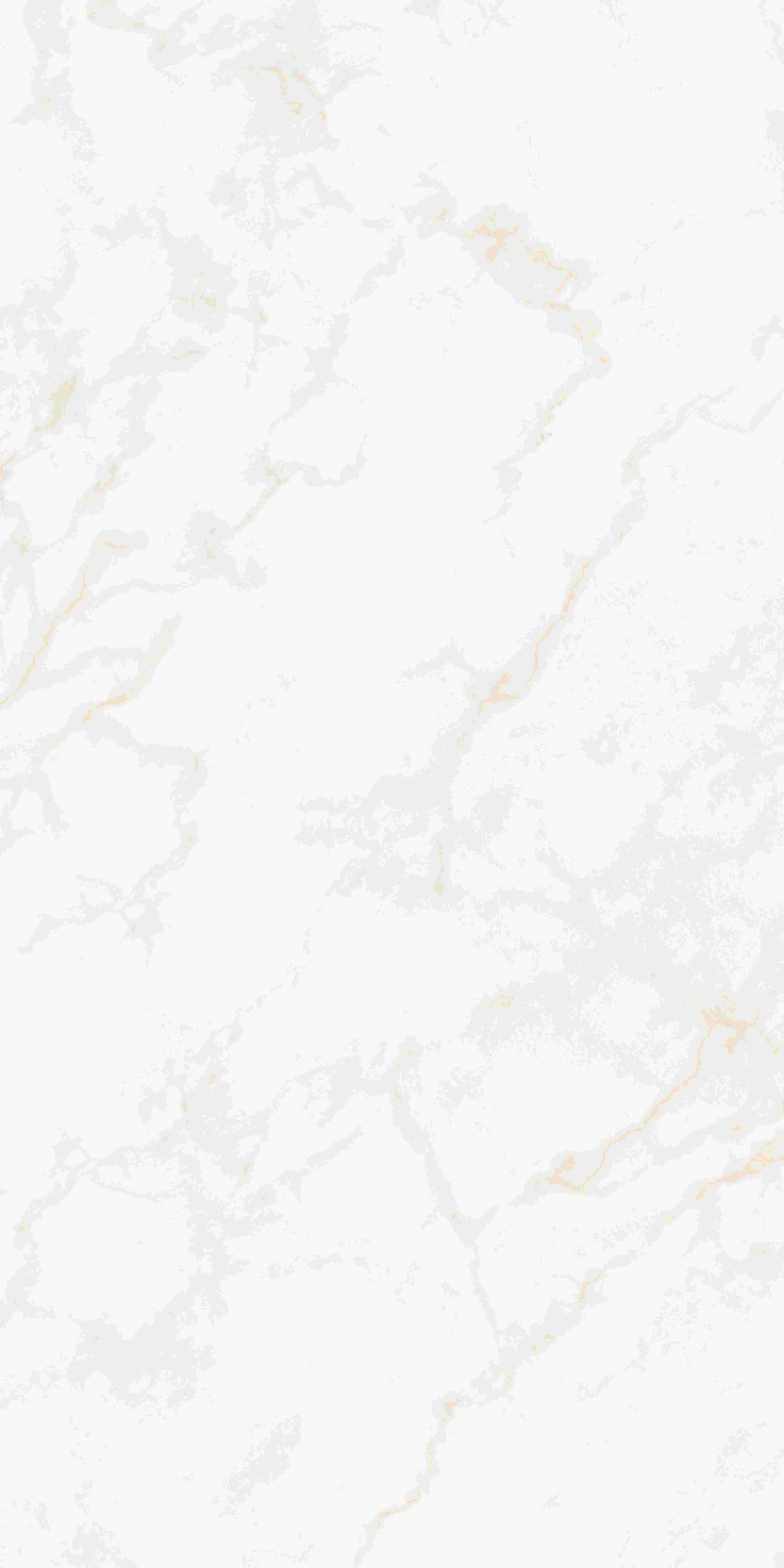 202503311948114811