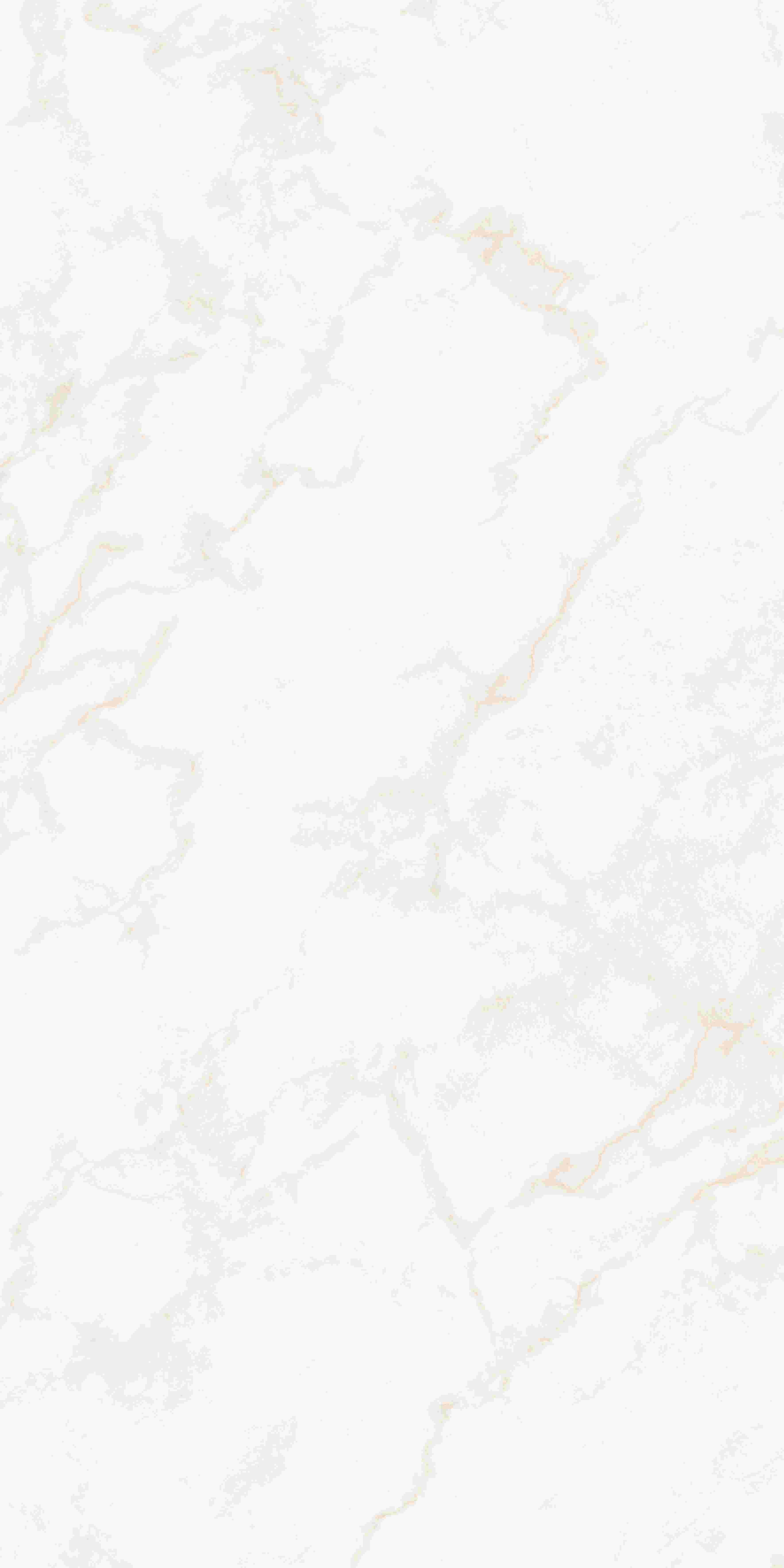 202503311948474847