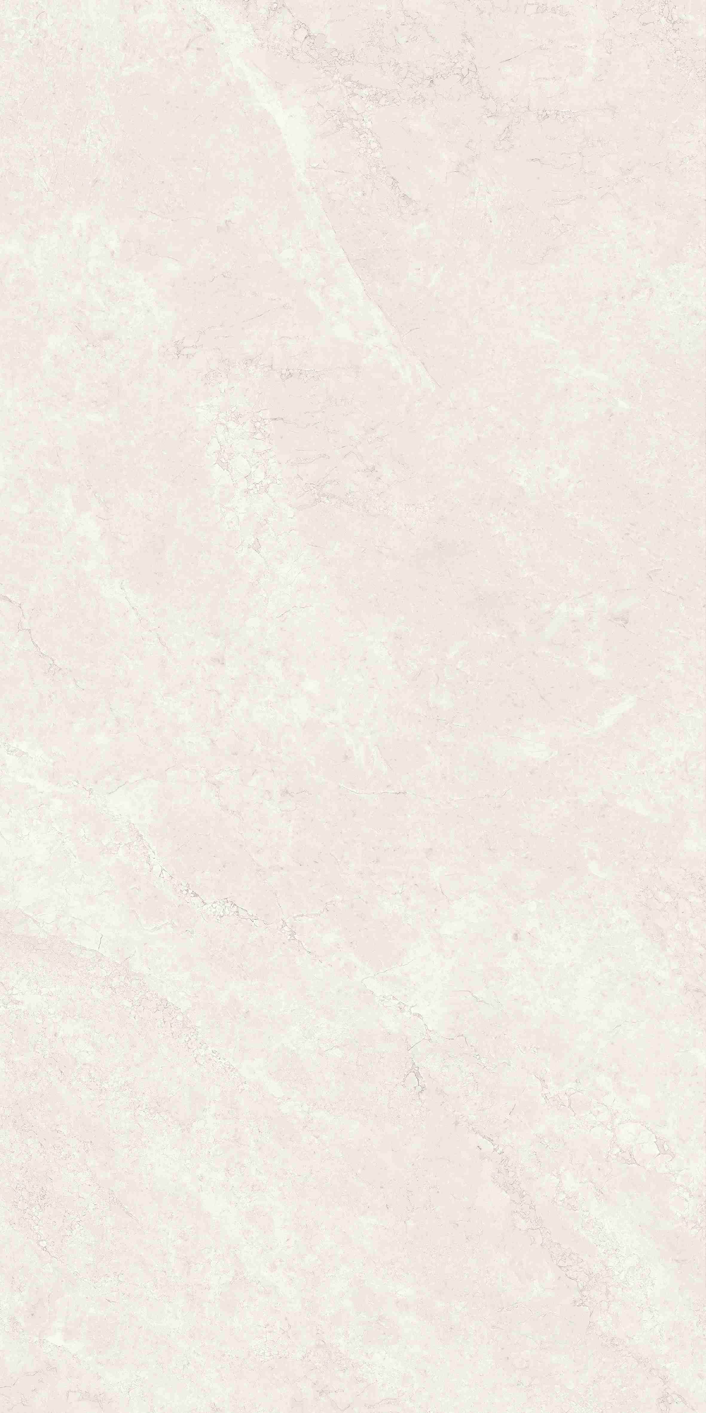 202504011432493249