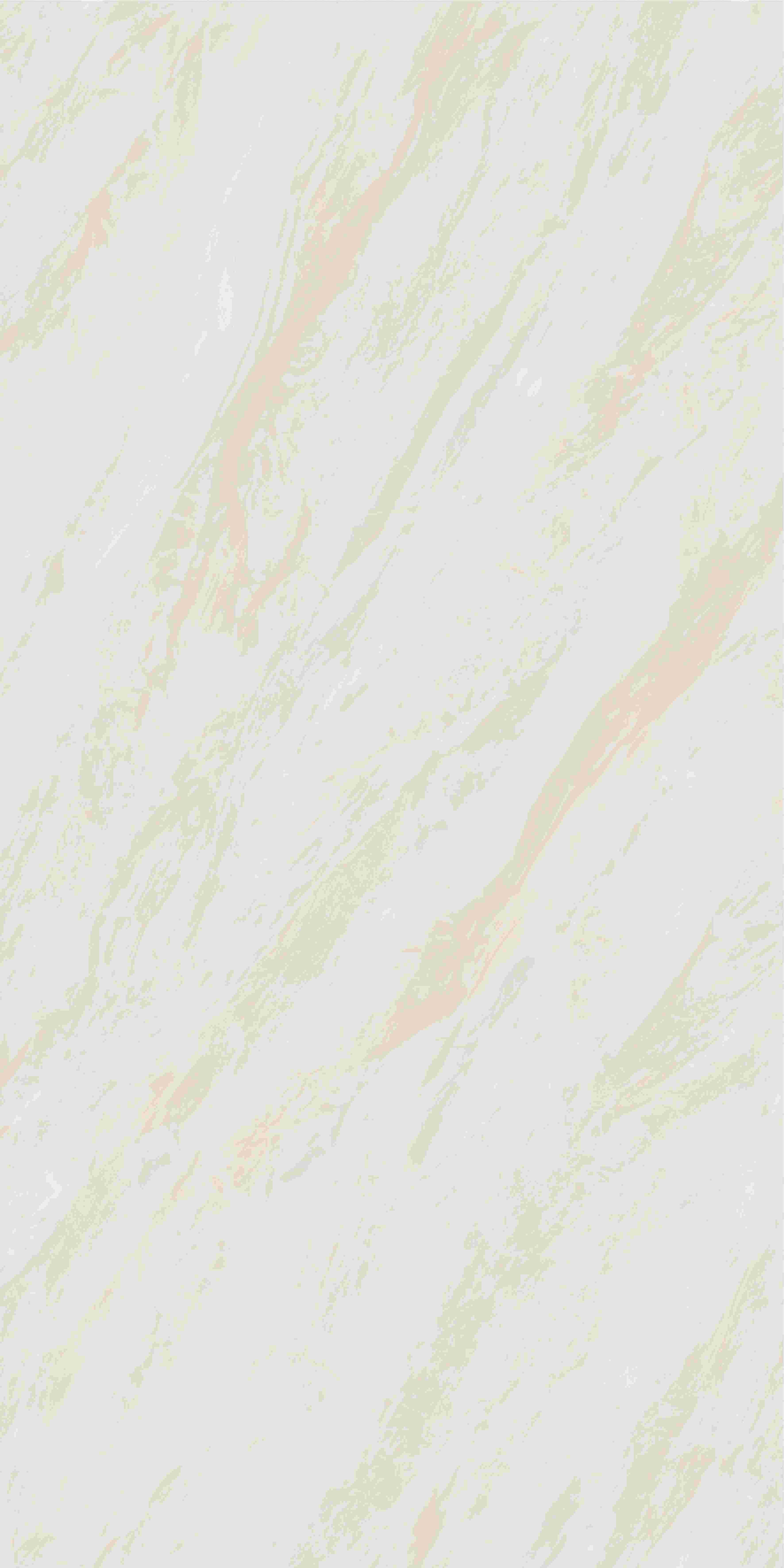20250401185807587 20250401185807587