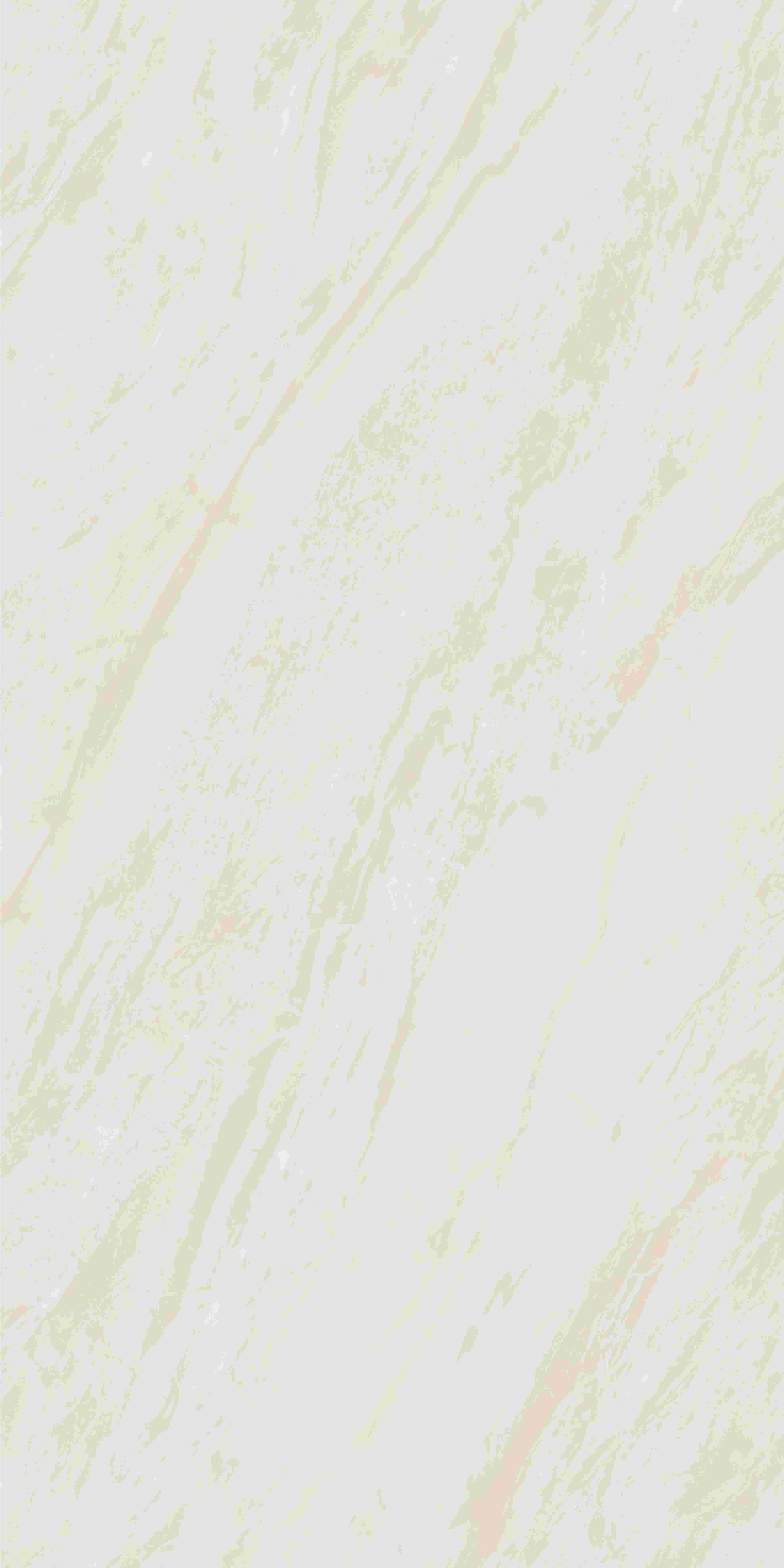 202504011858155815 202504011858155815