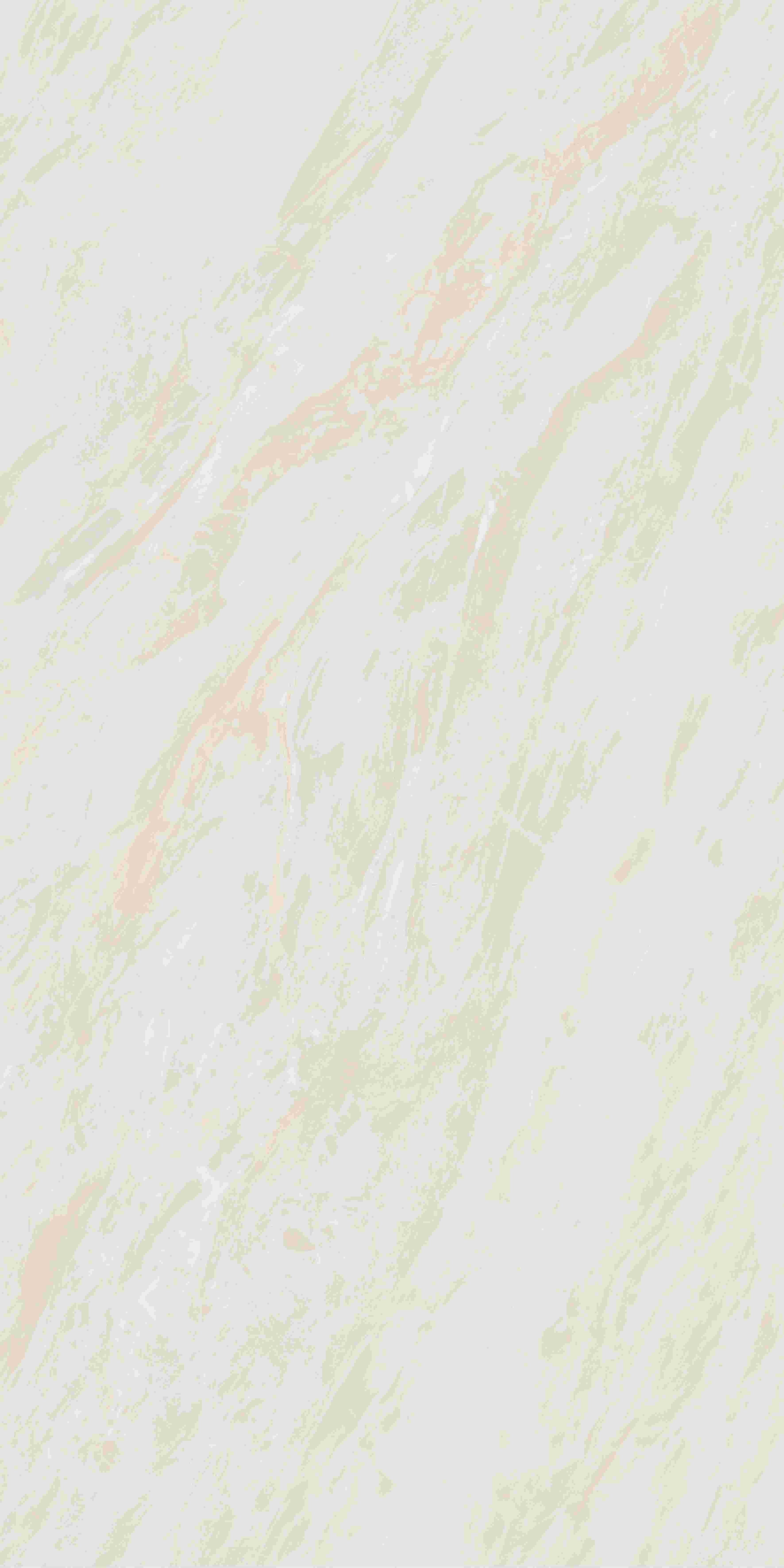 202504011858175817 202504011858175817