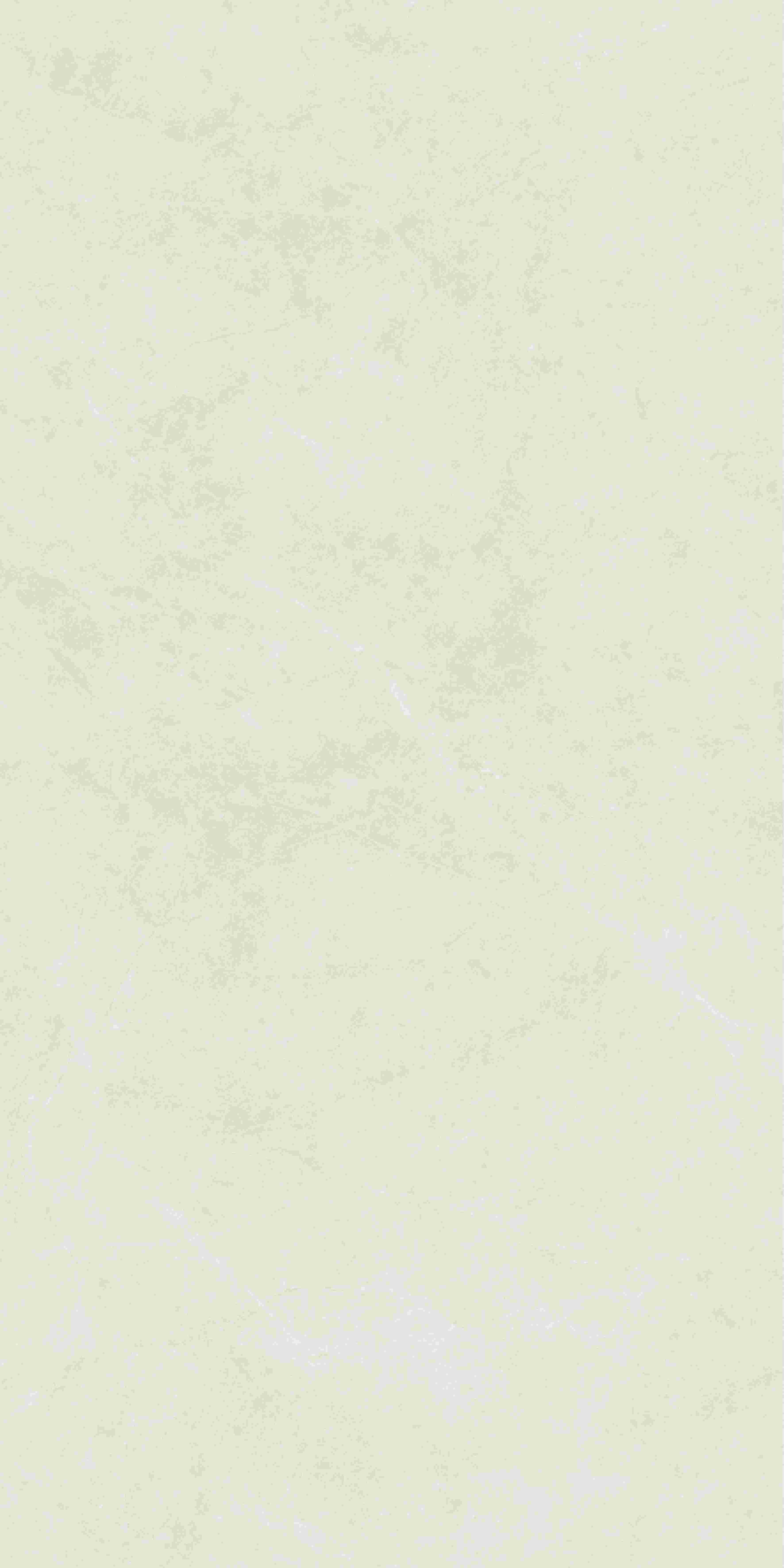 20250401190246246