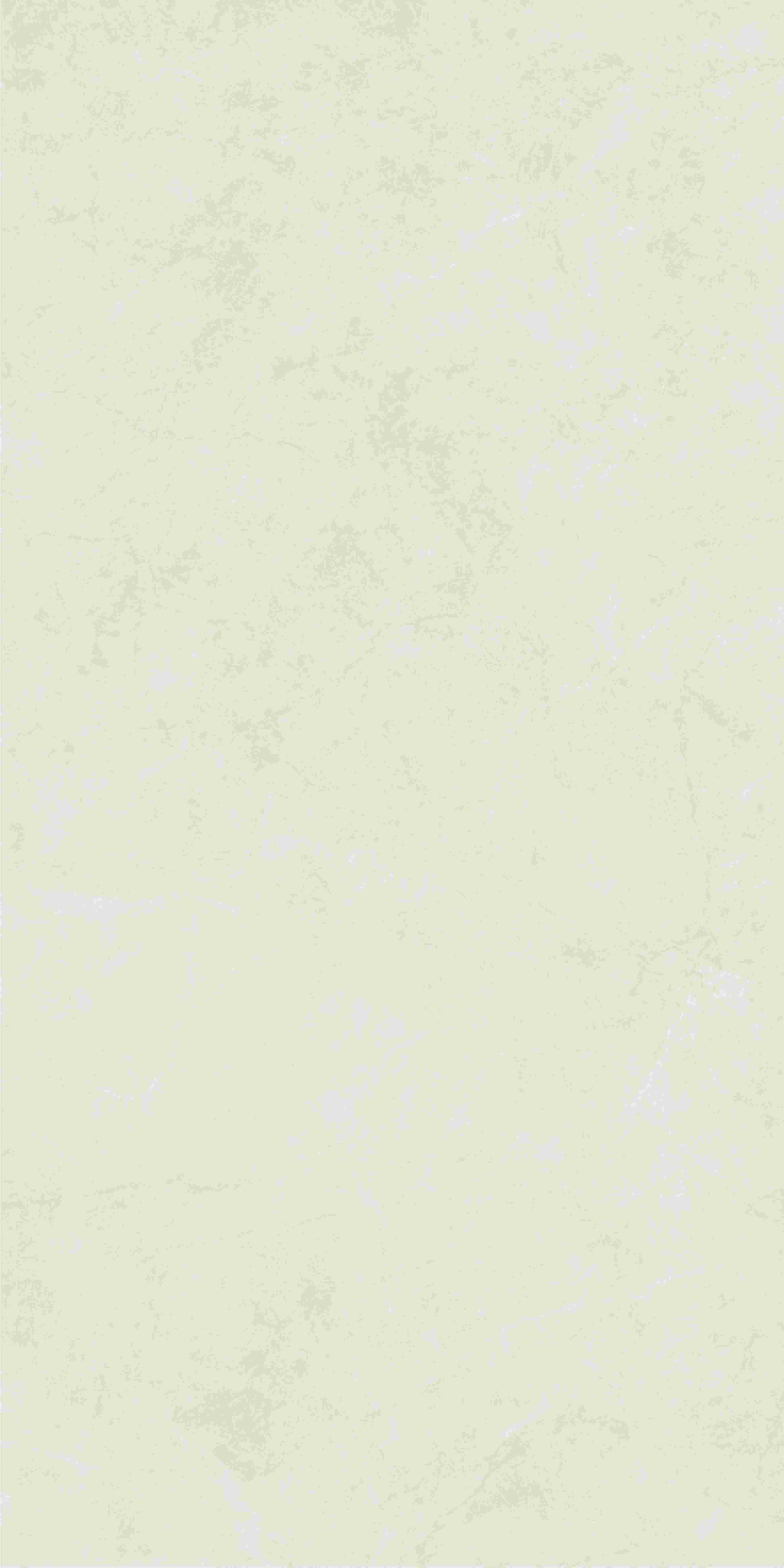 20250401190251251