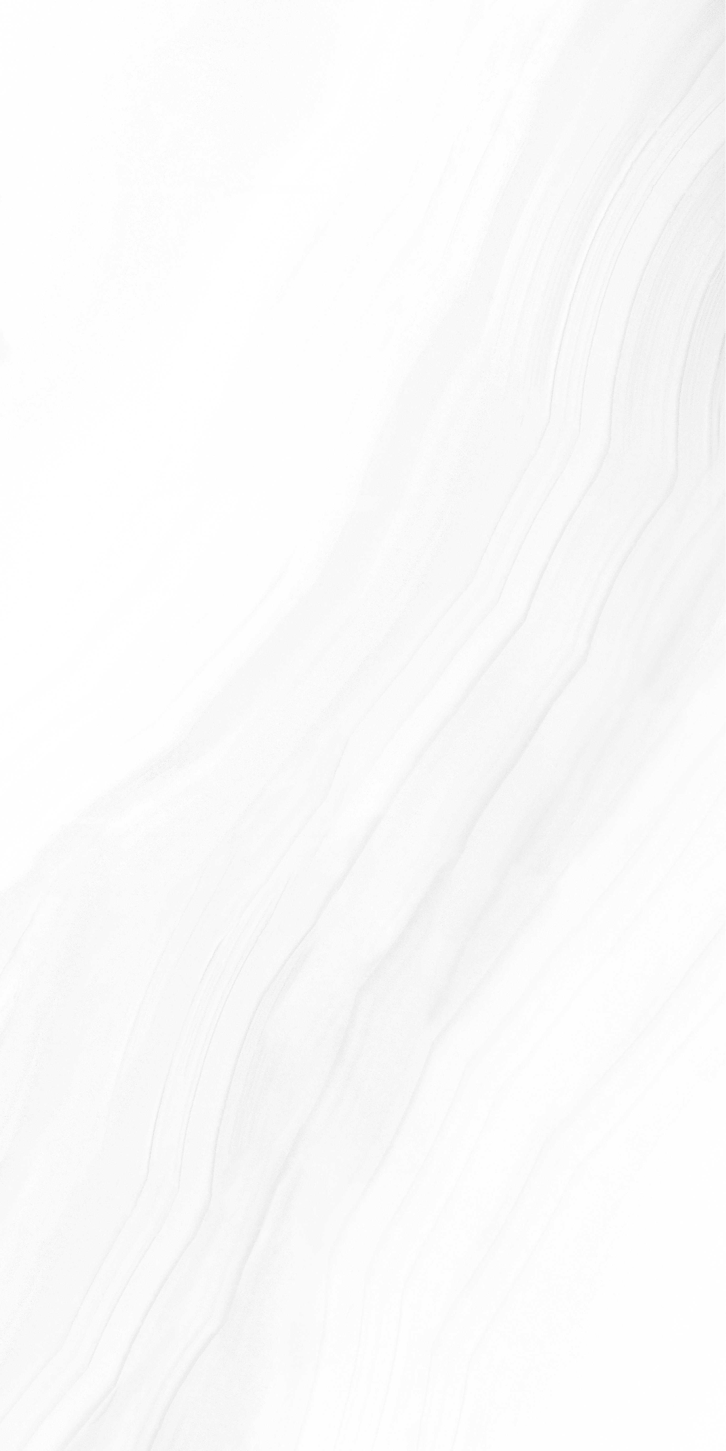 202504012019541954