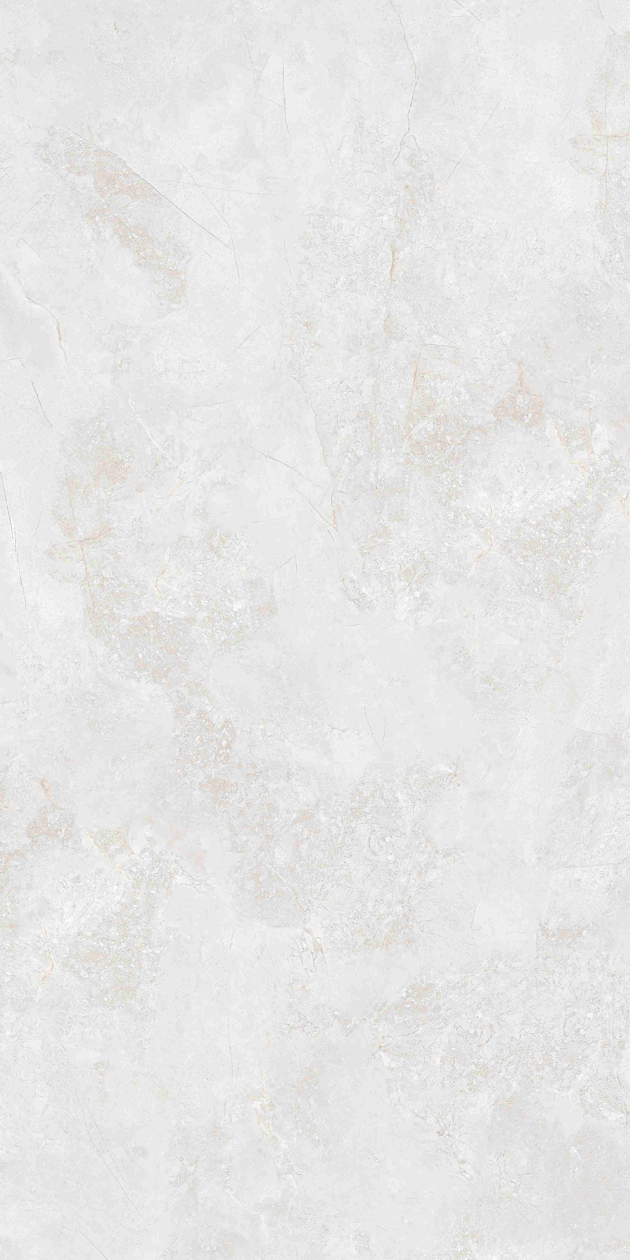202504012354205420 202504012354205420