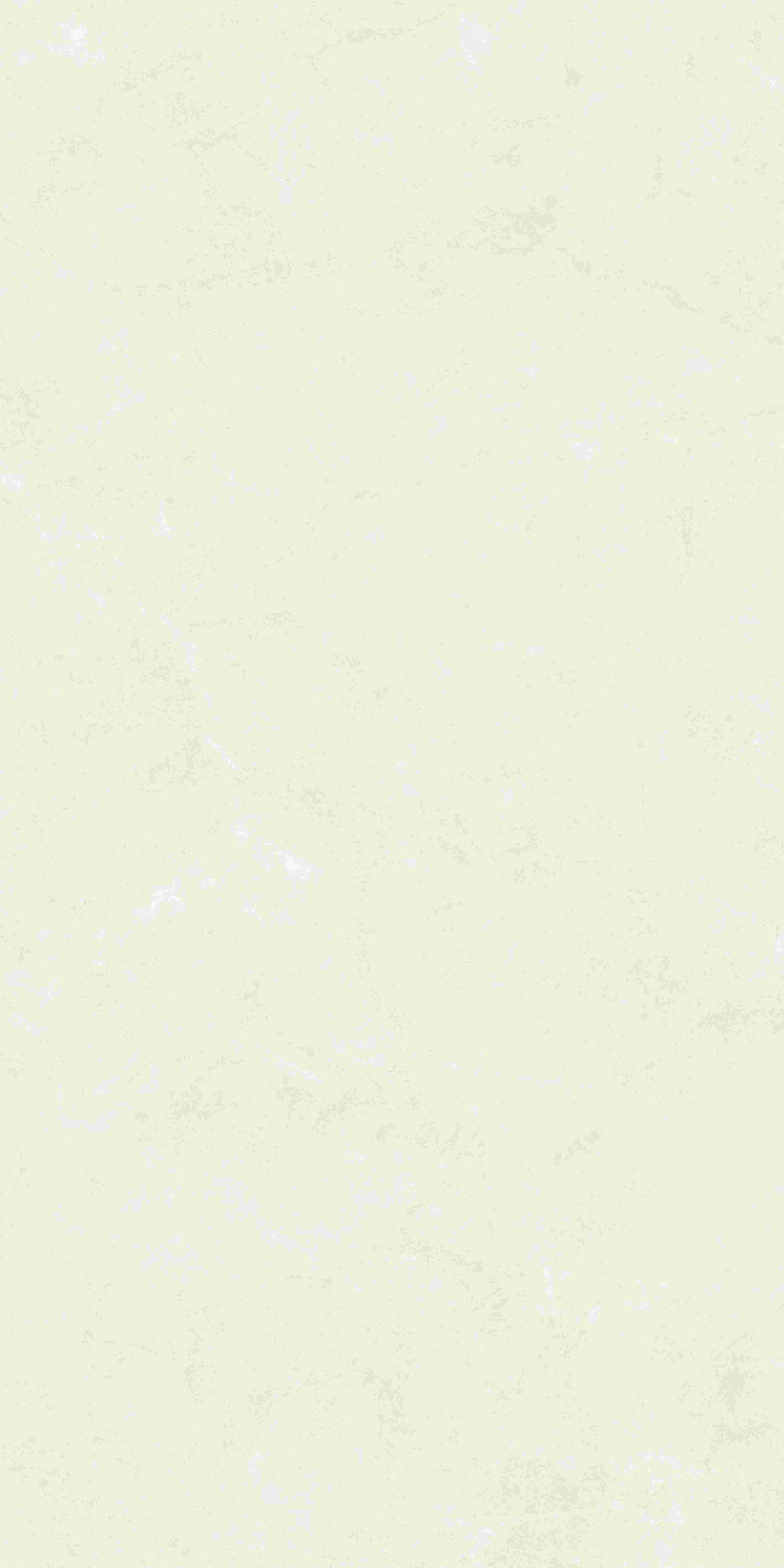 20250402000220220