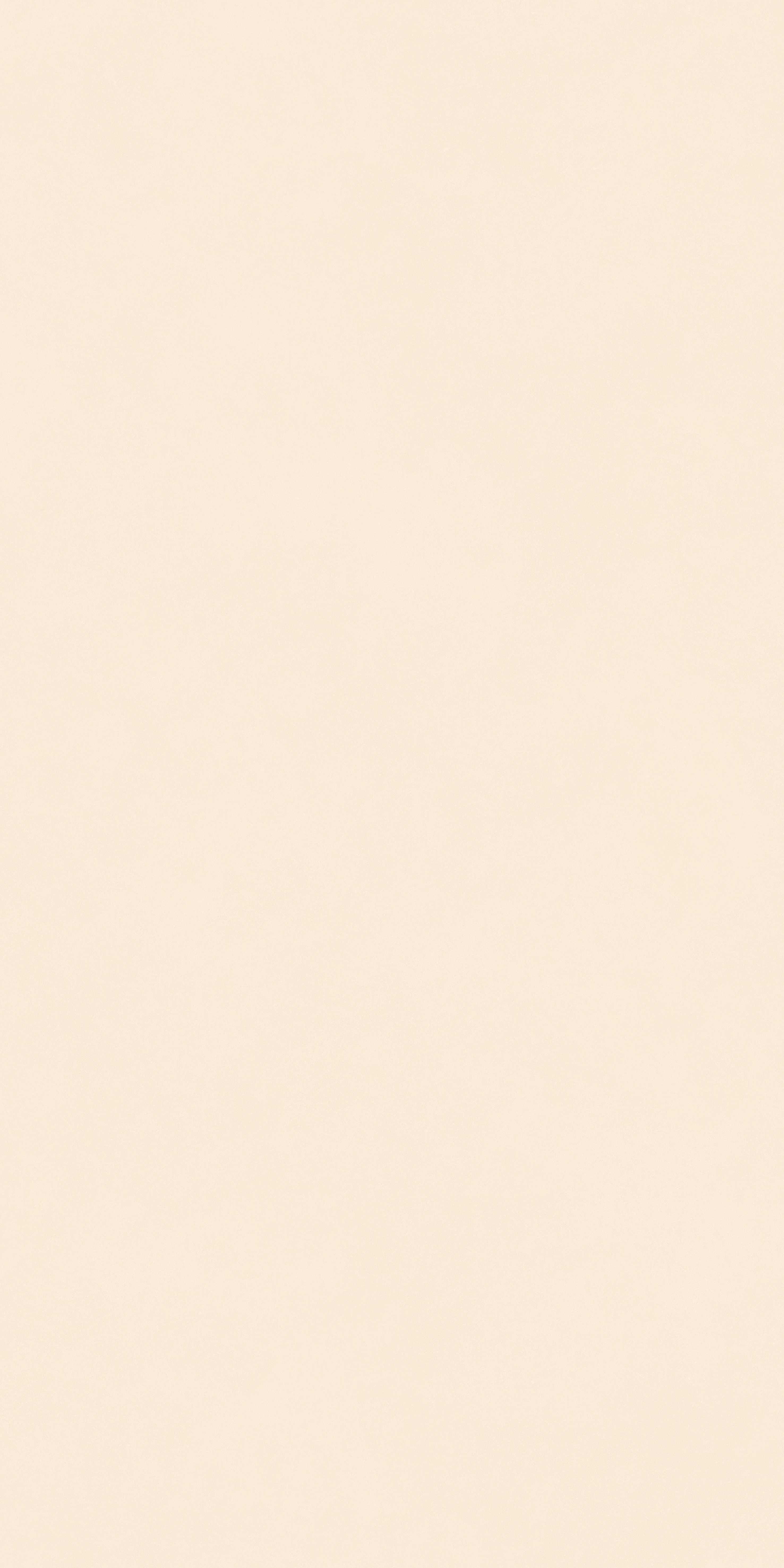 202504031032553255