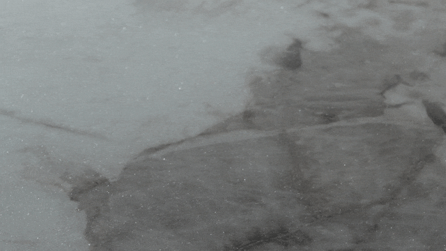 0?wx_fmt=gif&from=appmsg 图片
