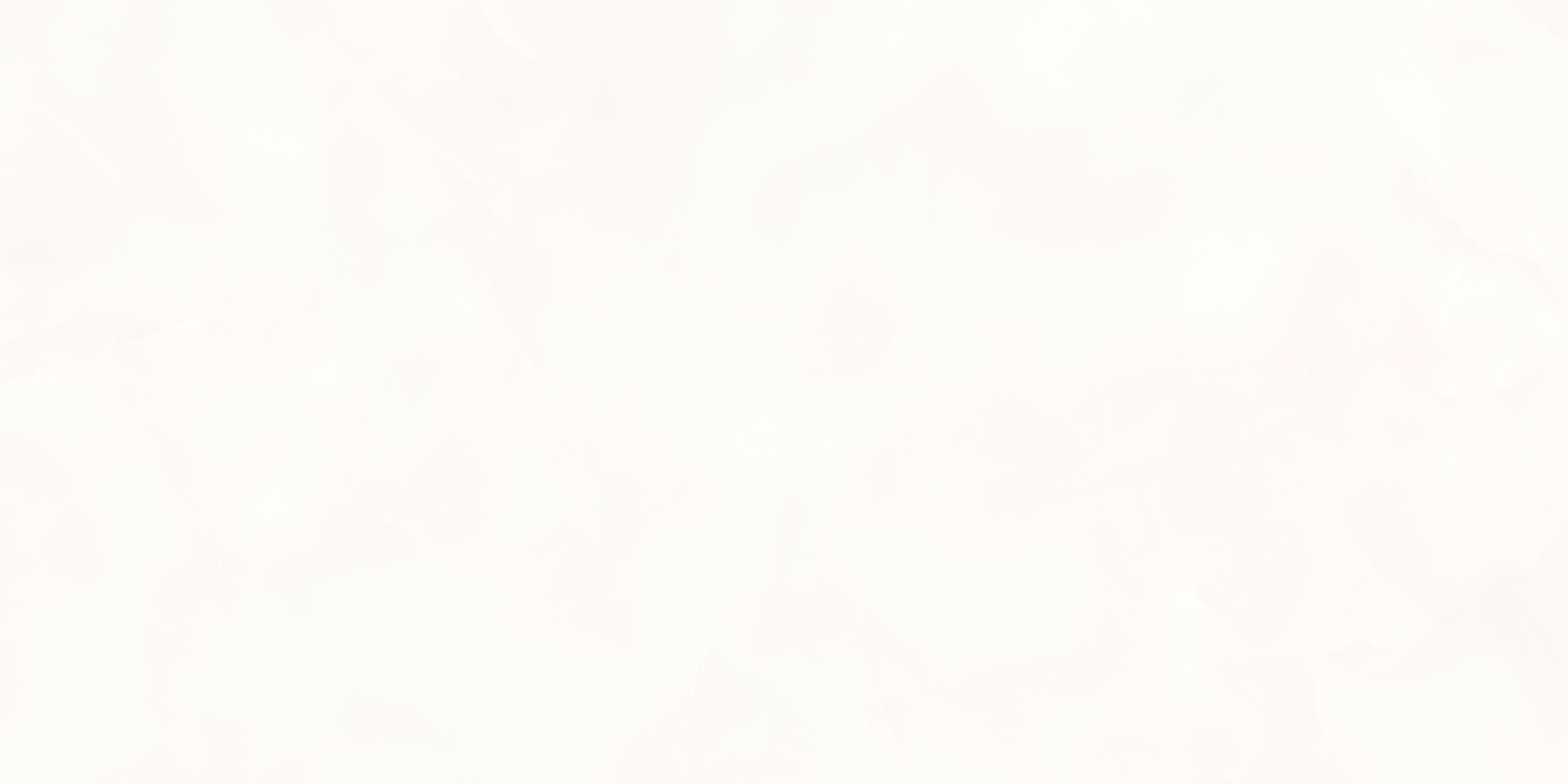 2026052011030131 2026052011030131