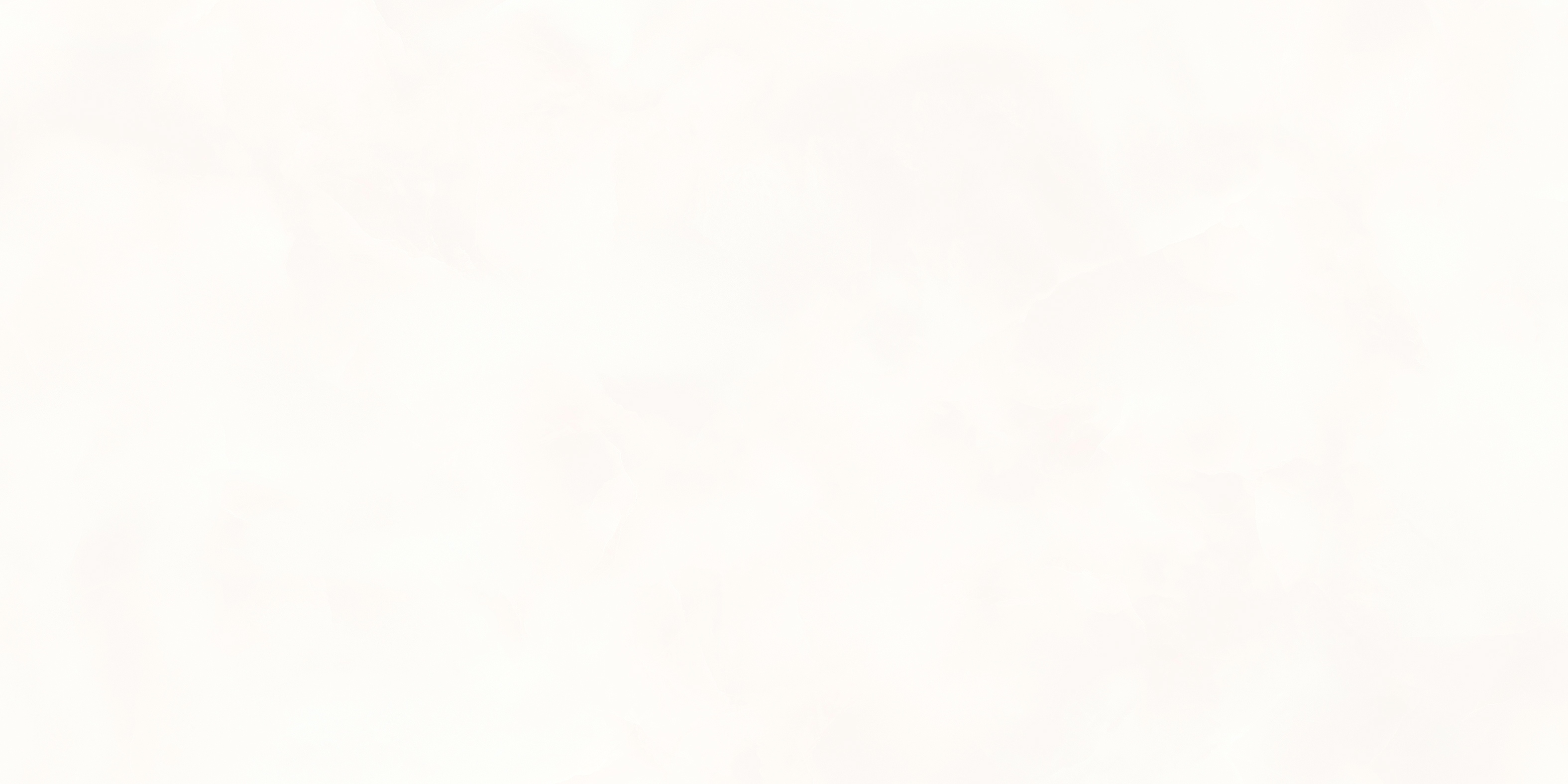 2026052011030333 2026052011030333